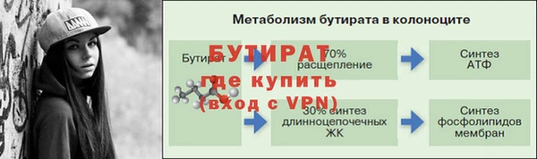 индика Горно-Алтайск