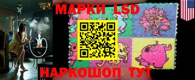 гашик Камышлов