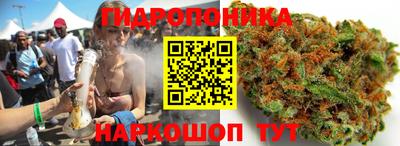 гашик Камышлов