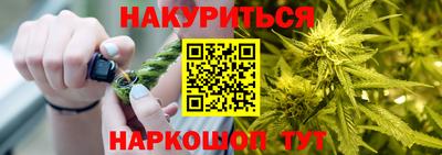 гашик Камышлов
