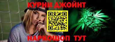 гашик Камышлов
