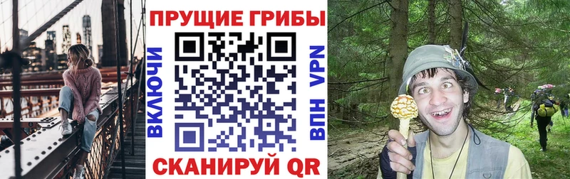 купить наркоту Светлоград Галлюциногенные грибы мухоморы