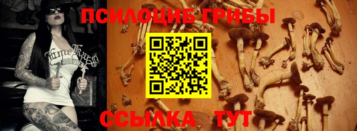 Галлюциногенные грибы мухоморы Светлоград