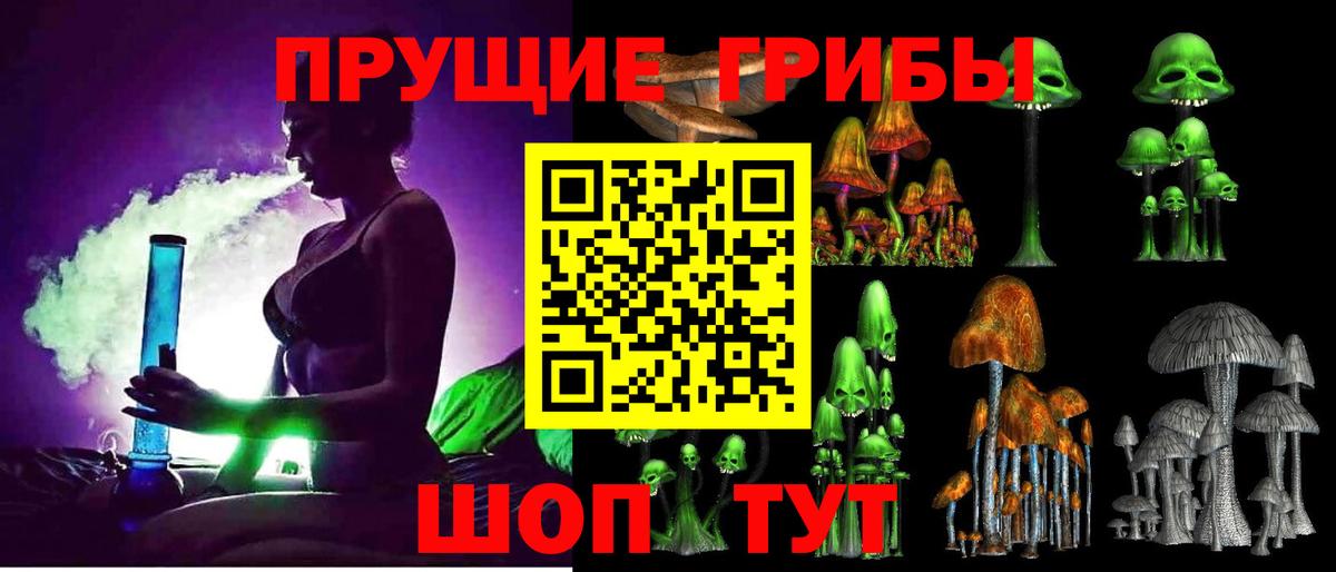 где найти   Галлюциногенные грибы мицелий  Вход с VPN  Светлоград  Псилоцибиновые грибы мухоморы 