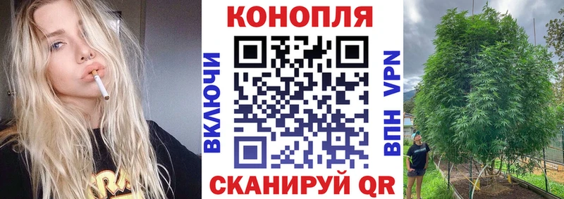 Конопля MAZAR Светлоград